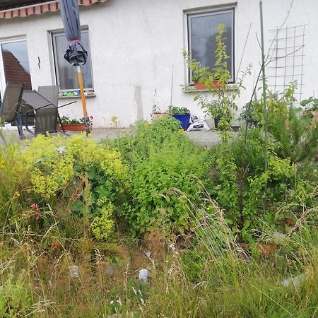Ferienwohnung Wittenburg Esterno foto