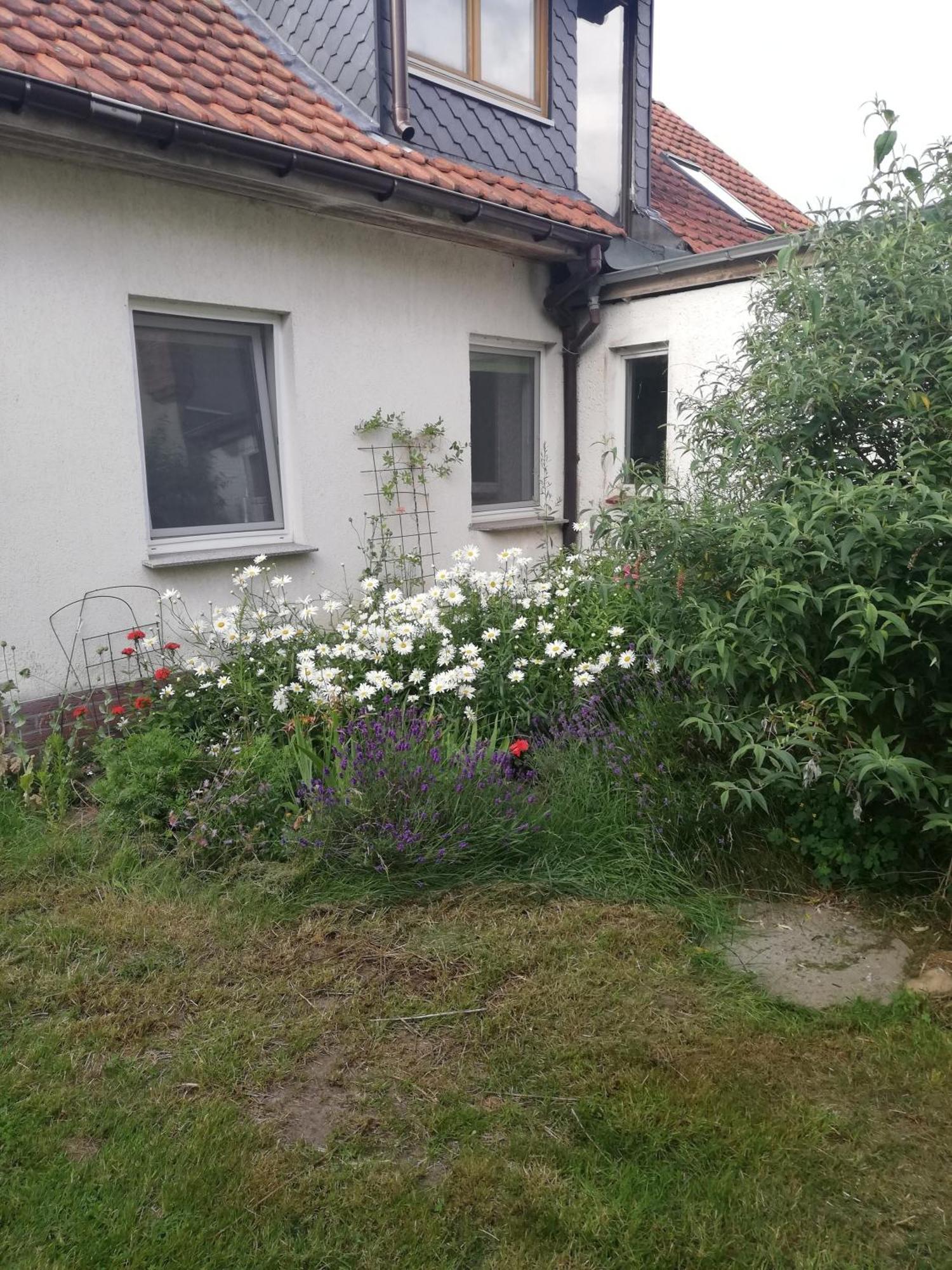 Ferienwohnung Wittenburg Esterno foto