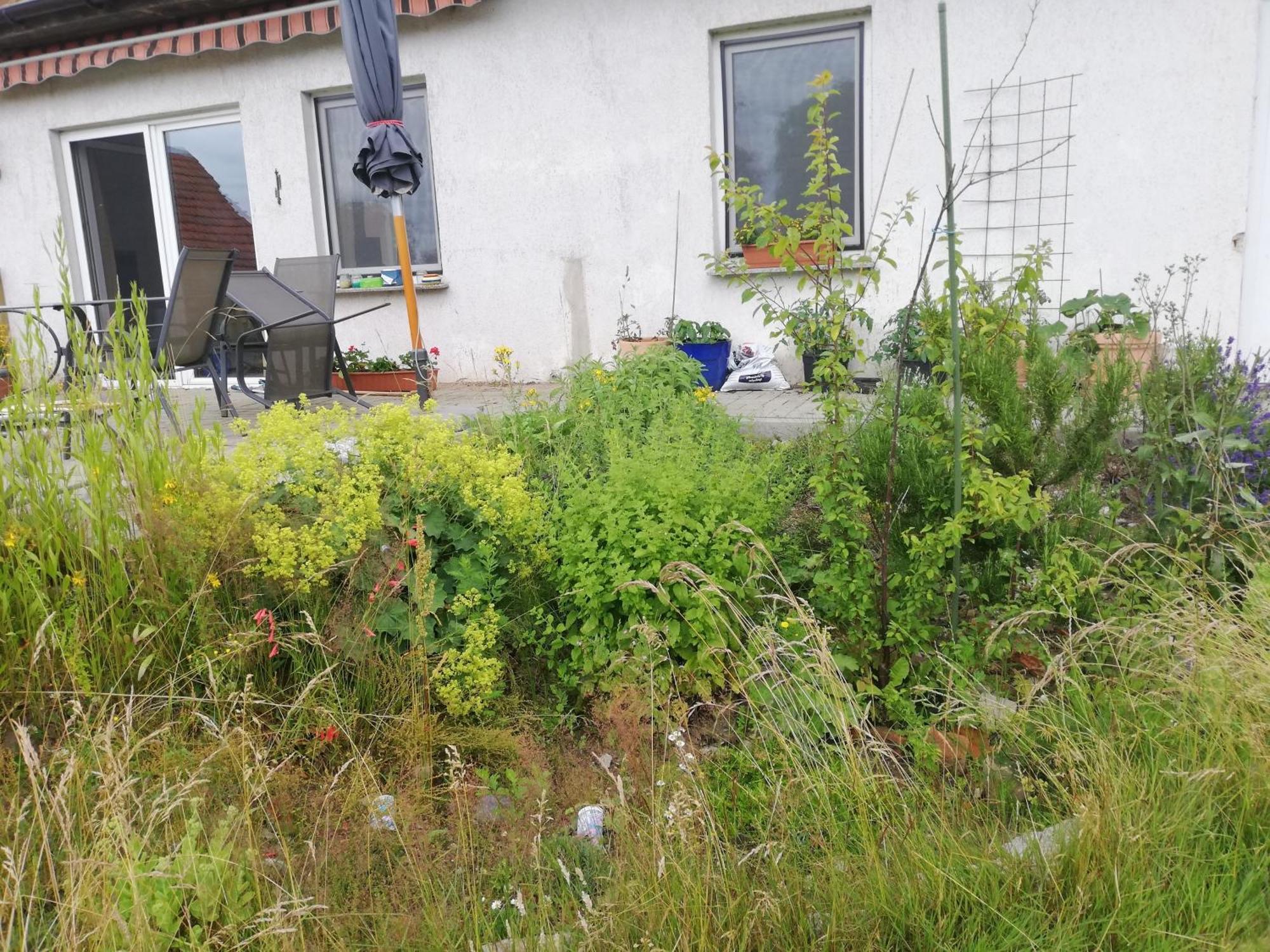 Ferienwohnung Wittenburg Esterno foto